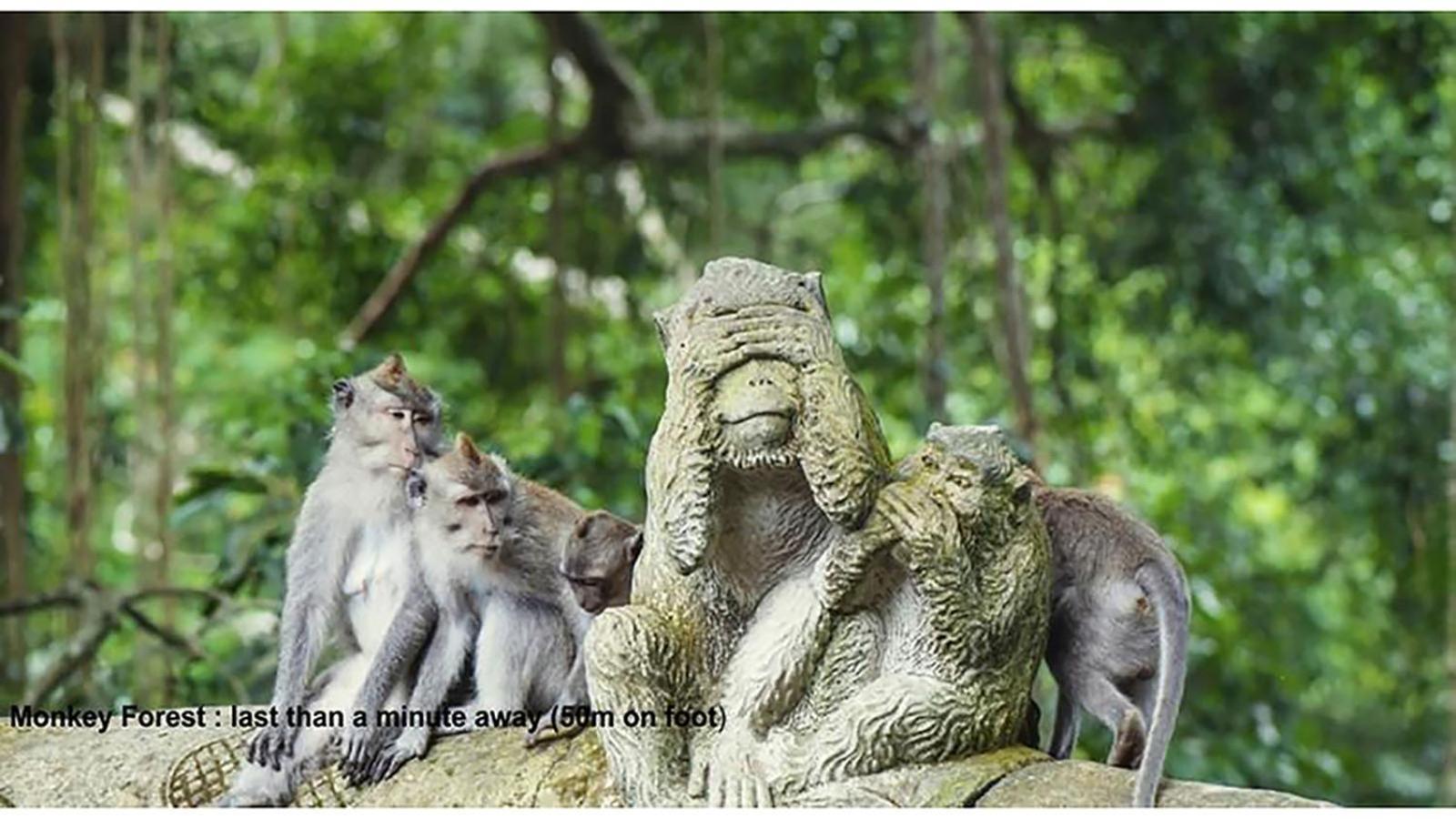Pande Permai Bungalows Ubud Zewnętrze zdjęcie