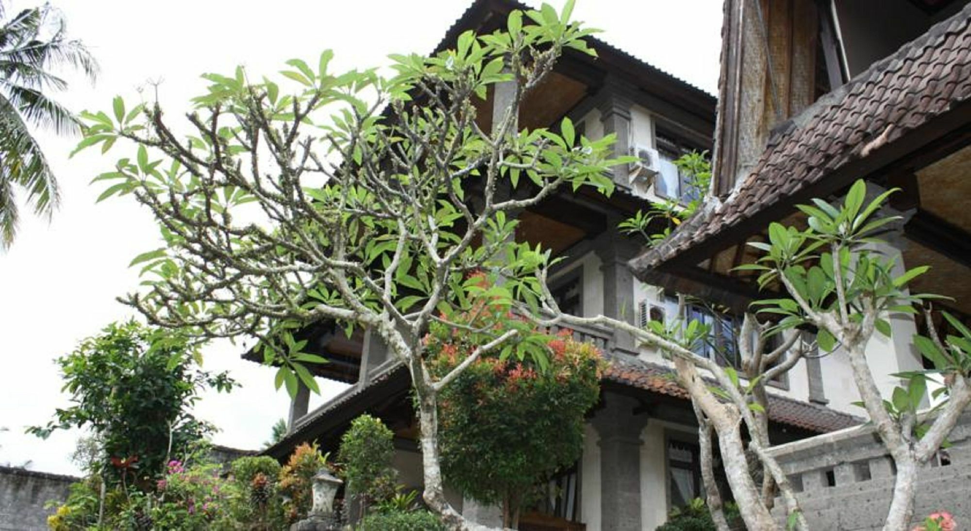 Pande Permai Bungalows Ubud Zewnętrze zdjęcie
